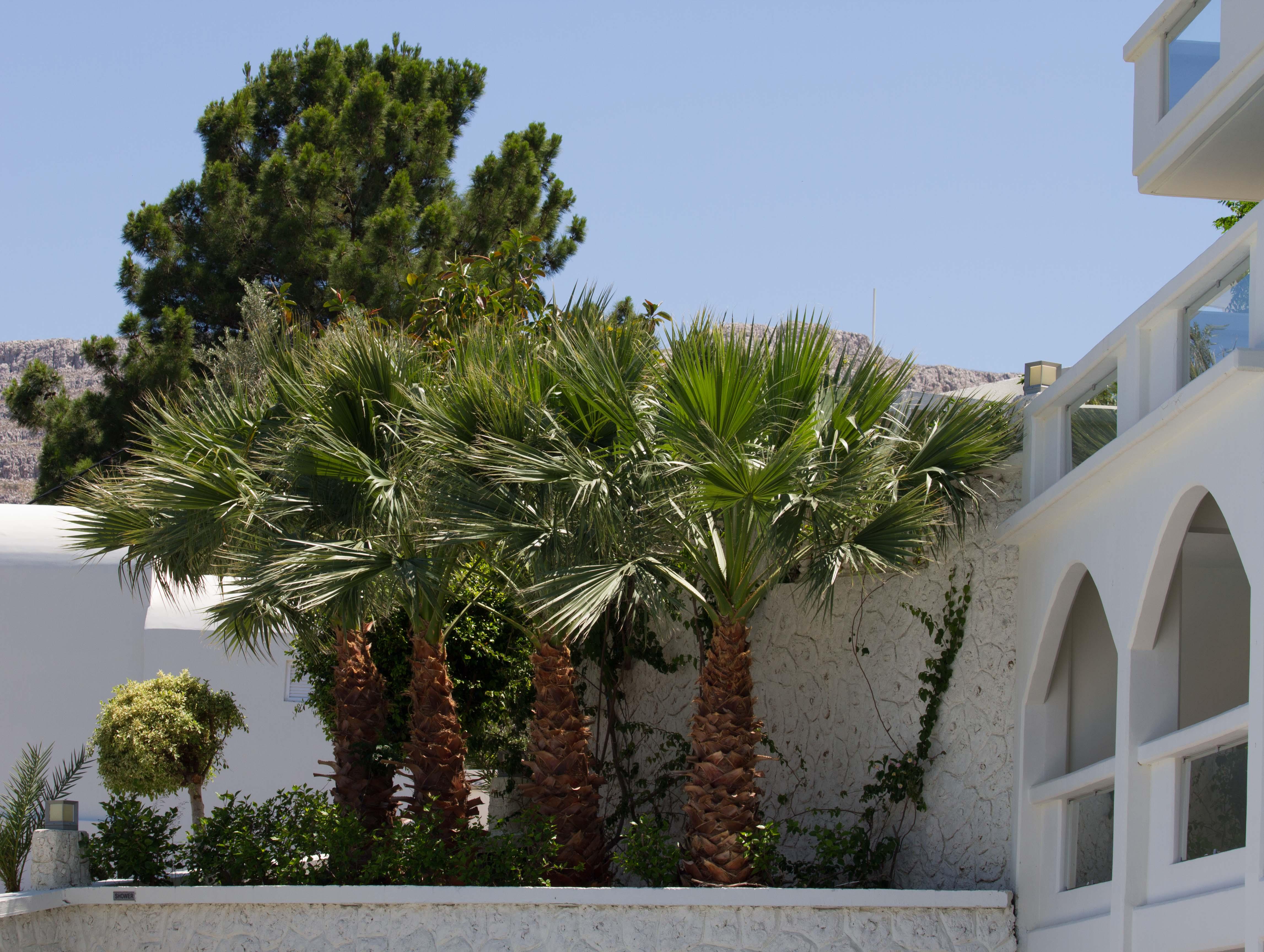 Lindos White Hotel & Suites Ngoại thất bức ảnh